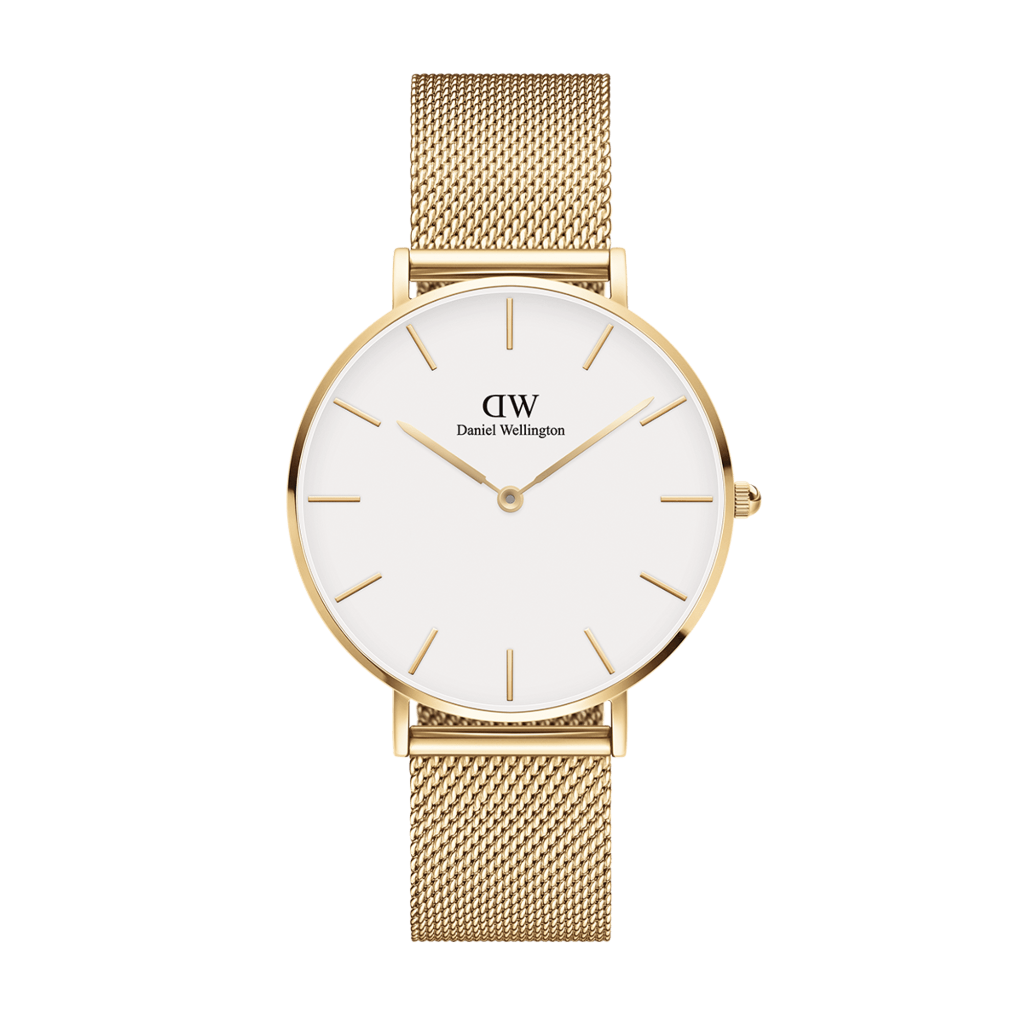 Petite Evergold – Gold Weiß in 36 mm DW