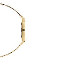 Side view of the Daniel Wellington Petite Evergold ladies' watch with slim gold-coloured case and delicate mesh strap.