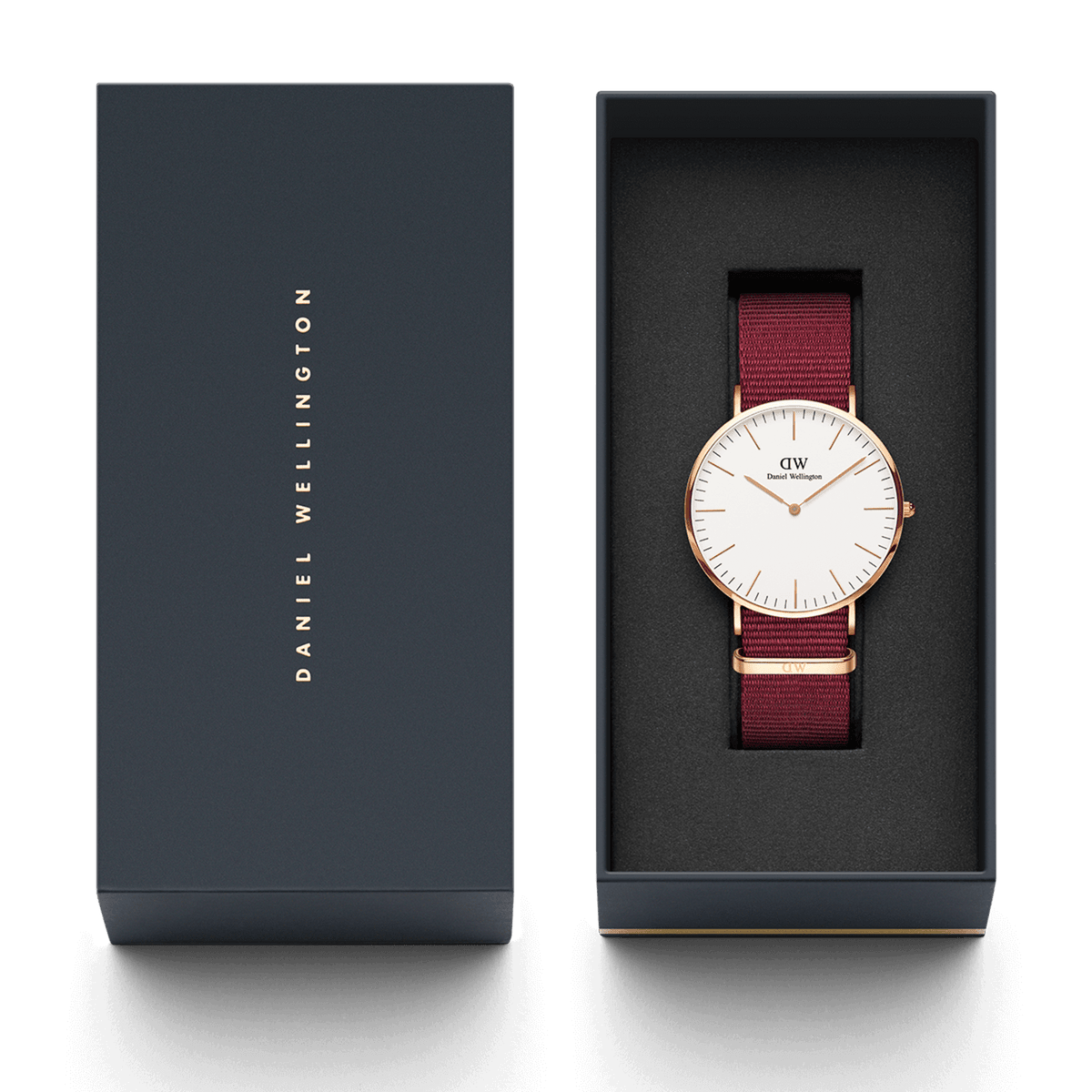 Sector 230 Hotel Kalinga Orologio Donna Sector Daniel Wellington A